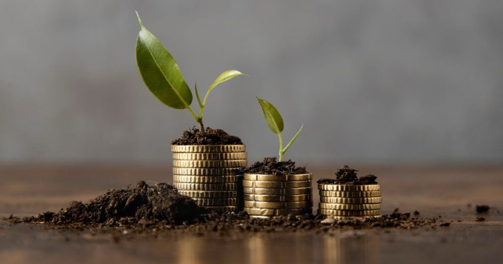 working capital stacked coins growth with dirt plant